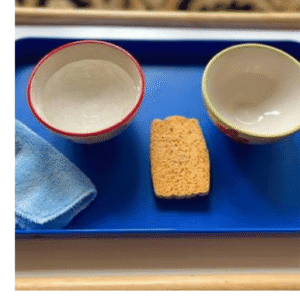 Sponging Set