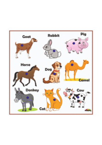 Size Variation Inserts Board Pet Animals