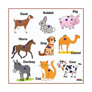 Size Variation Inserts Board Pet Animals