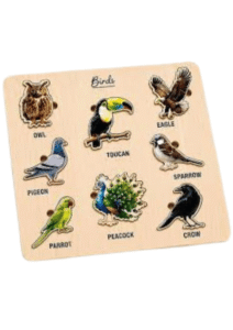 Size Variation Inserts Board Horse