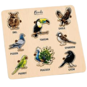 Size Variation Inserts Board Horse